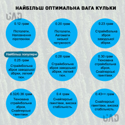 Шарики для страйкбола BLS 0.20 1кг - 5000 шт (белые)